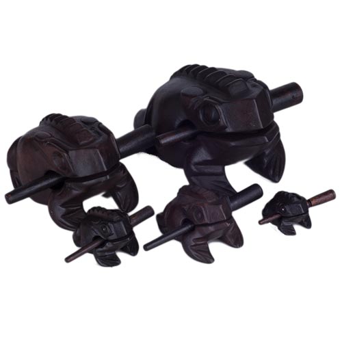 Wooden Frog